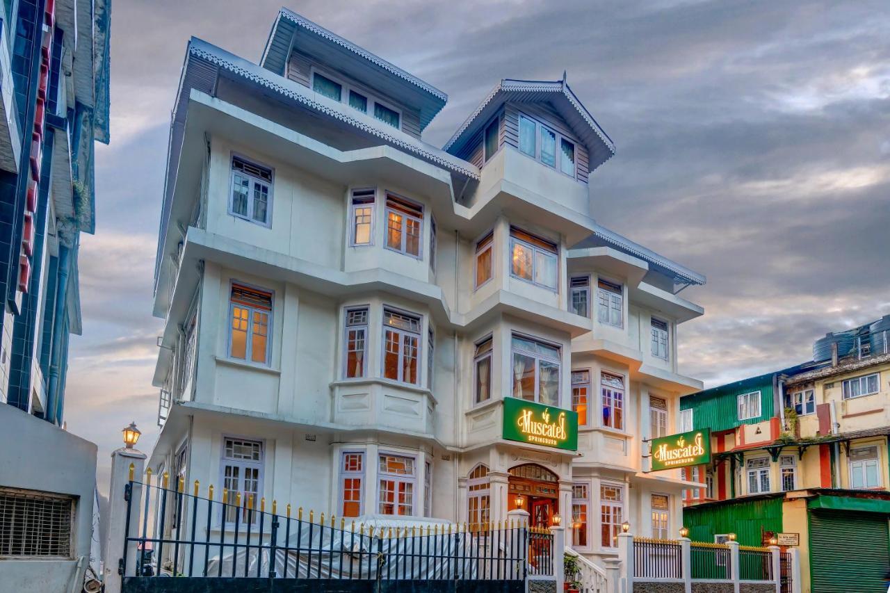 Muscatel Spring Burn - 100 Mts From Mall Road Darjeeling  Exterior photo